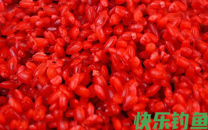 秋季钓鱼用麝香酒米还是红虫酒米？