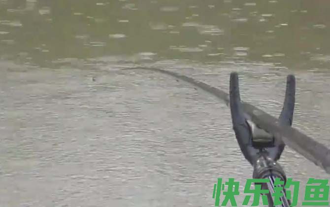 闷竿钓法怎么钓？