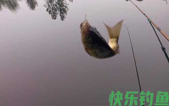 蚯蚓钓鱼全是小鱼怎么办？