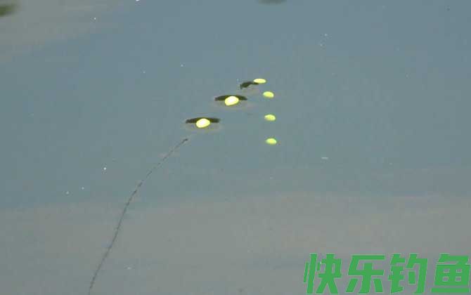 春季钓鱼不开口怎么办？