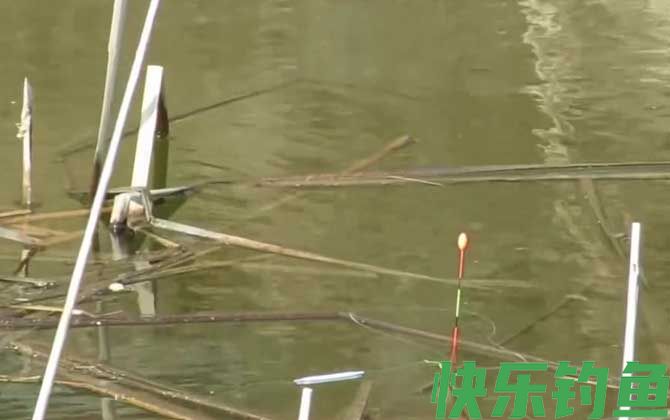 下雨前钓鱼好不好钓？