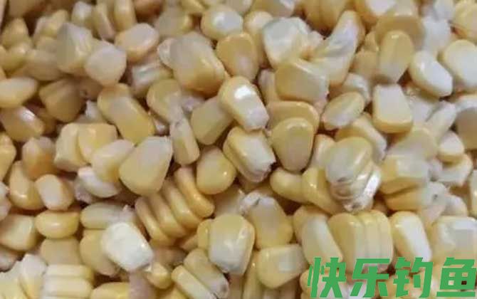 老坛玉米打窝嫩玉米钓效果好吗？