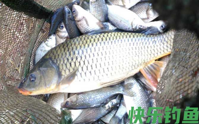 什么时候最容易钓大鱼？