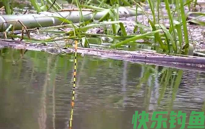 钓鱼什么漂相可扬竿？