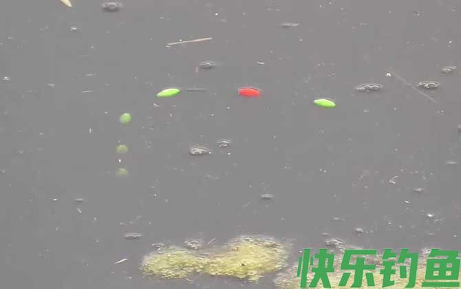 早春阴天好钓鱼吗？