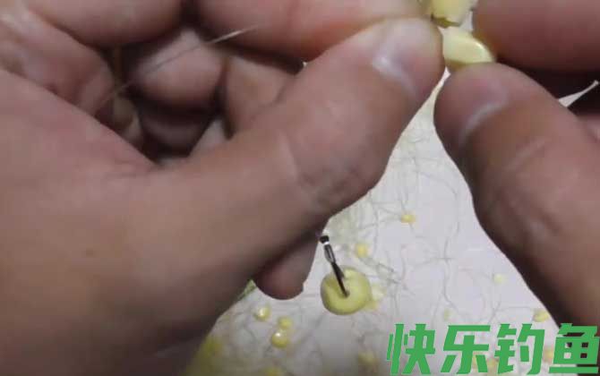 玉米钓鱼是钓底还是半水？