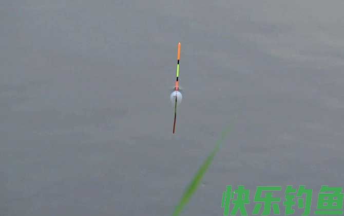 为什么全是顶漂中鱼？