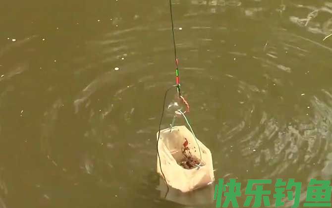 打窝一般多长时间聚鱼？