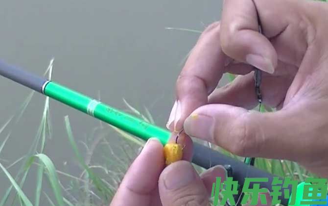 水库玉米钓鱼技巧和方法