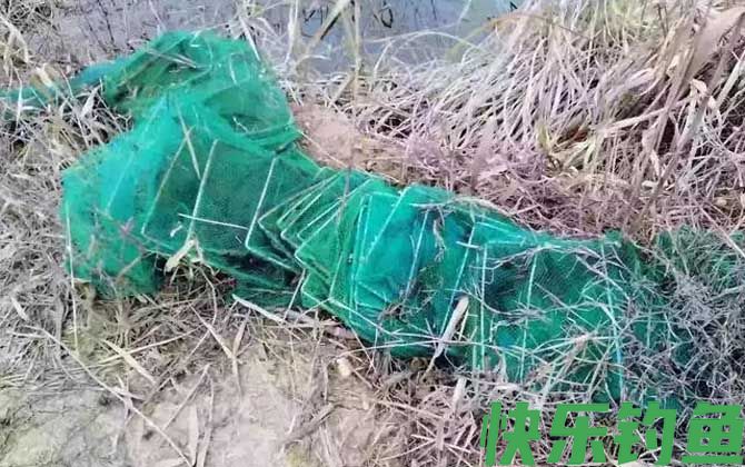 虾笼冬天可以逮河虾吗？