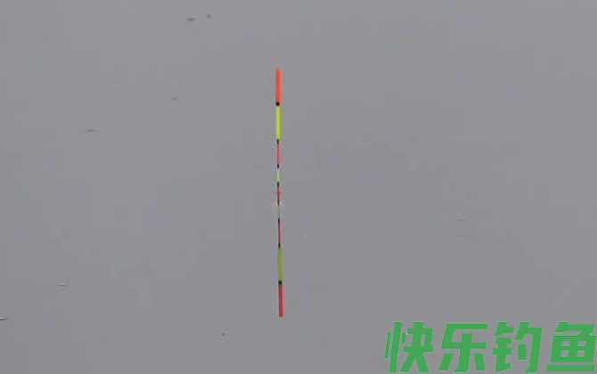 黑坑钓鱼调漂的正确方法