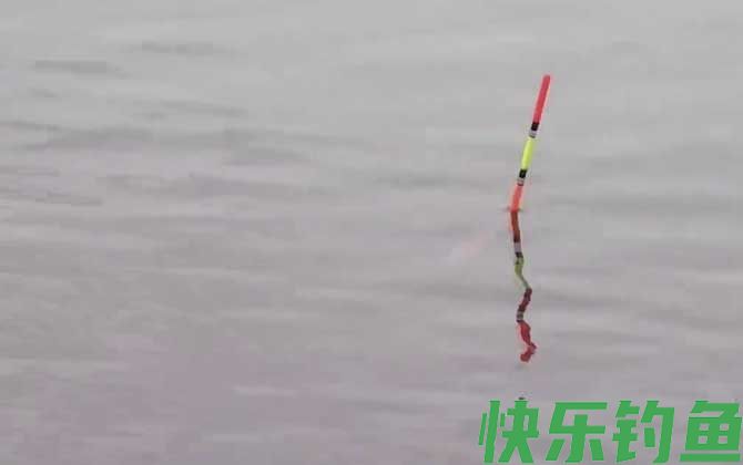 鲤鱼吃钩漂相是什么样子？