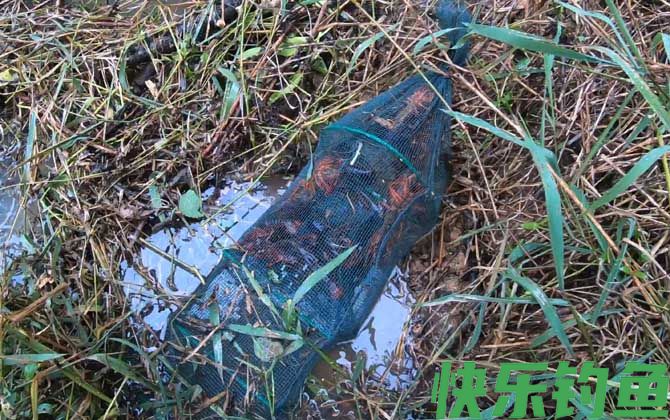 地笼什么时间最容易进鱼？
