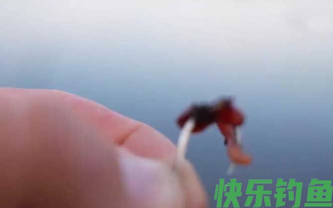 蚯蚓钓鱼