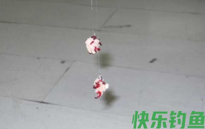 红虫拉饵