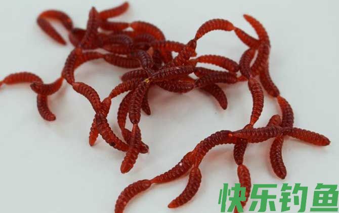 红虫假饵