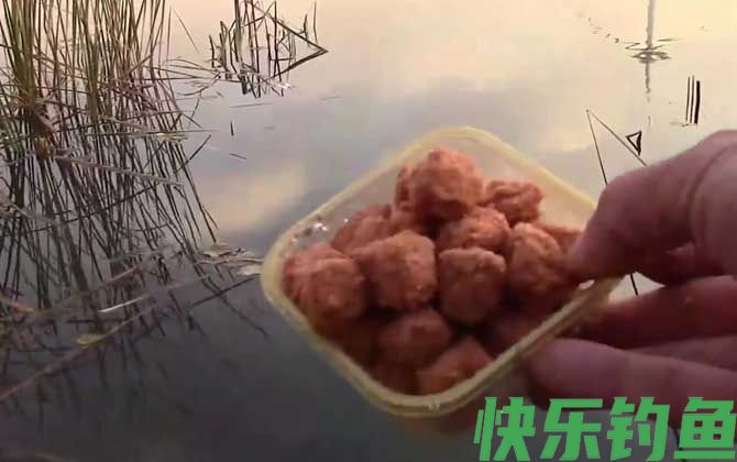 窝料