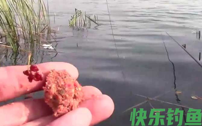 窝料