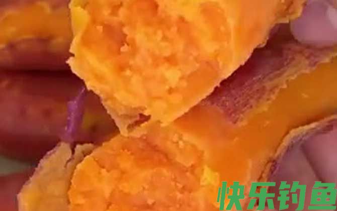 红薯钓鱼效果怎么样?(图3) 红薯钓鱼效果怎么样?(图3)