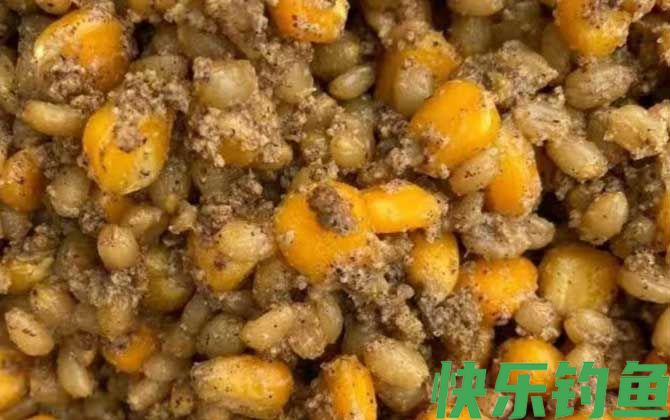 玉米钓鱼用生的还是熟的?(图4) 玉米钓鱼用生的还是熟的?(图4)