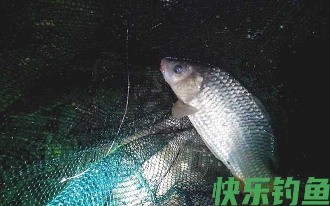 冬天晚上钓鱼