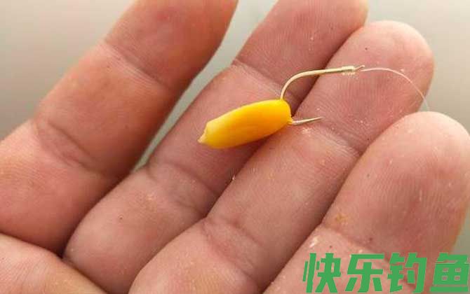 玉米钓鱼