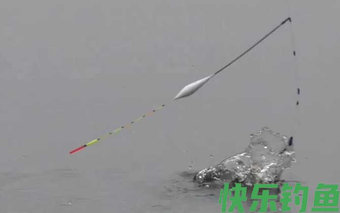 水库钓鱼