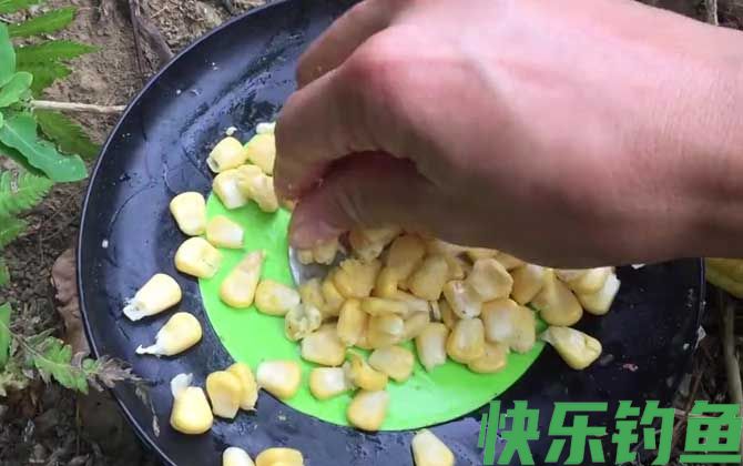 玉米钓鱼