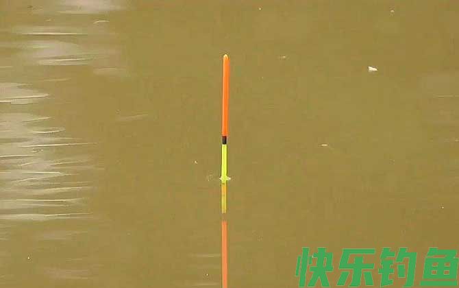 黑坑钓鱼调漂方法