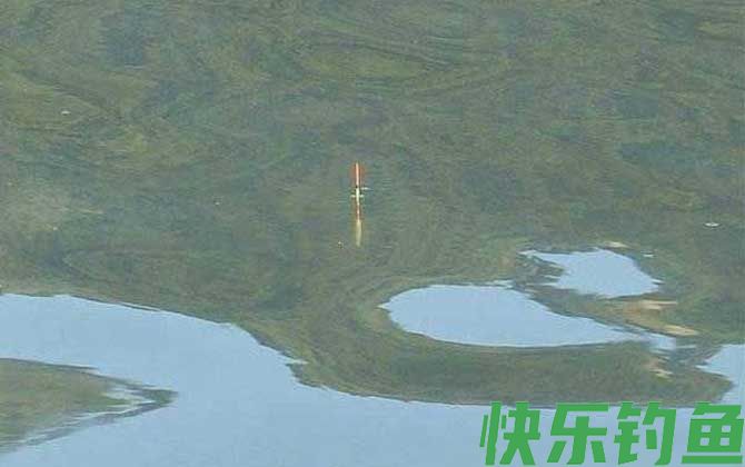 台钓