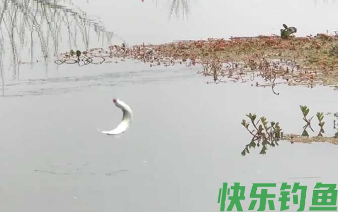 二月份钓鱼