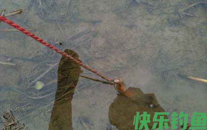 钓黄鳝