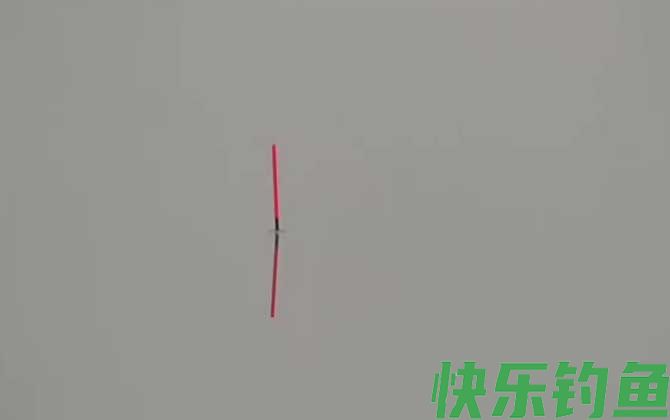 夏季钓鱼