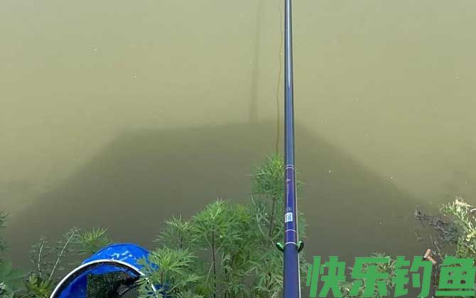 黑坑偷驴钓近还是钓远?(图4) 黑坑偷驴钓近还是钓远?(图4)