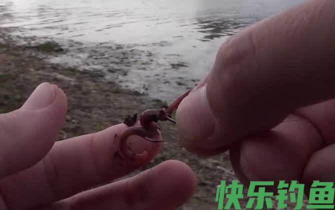 野钓用蚯蚓钓底还是钓浮?(图2) 野钓用蚯蚓钓底还是钓浮?(图2)