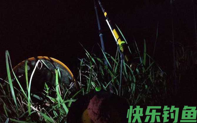 夏天夜钓钓近还是钓远？(图1)