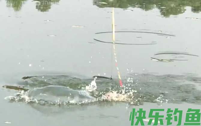 水库钓鱼