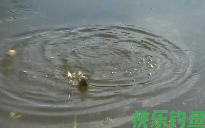 水库钓鱼