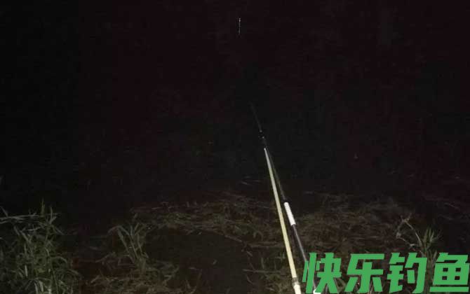 夜钓技巧全攻略及注意事项(图4) 夜钓技巧全攻略及注意事项(图4)