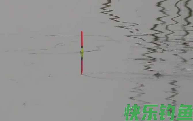 台钓怎样精准调漂?(图4) 台钓怎样精准调漂?(图4)