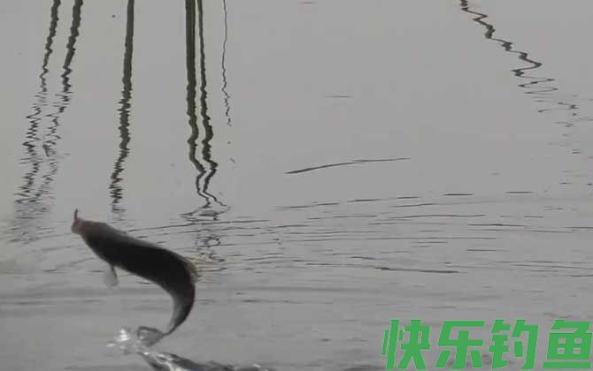 初冬钓鱼什么风向好钓?(图1) 初冬钓鱼什么风向好钓?(图1)
