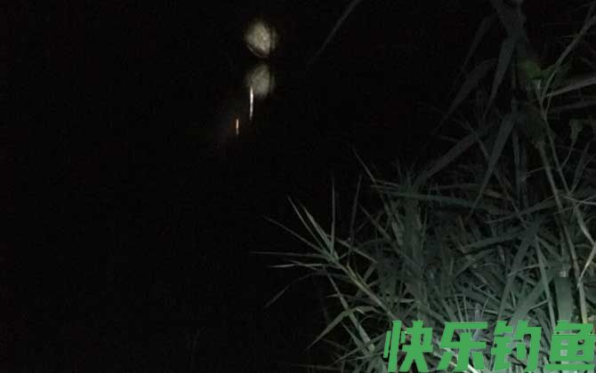 夜钓