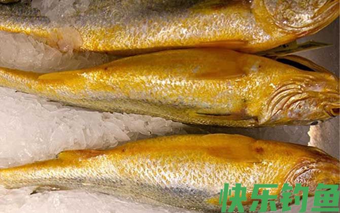 最适合孩子吃的八种鱼