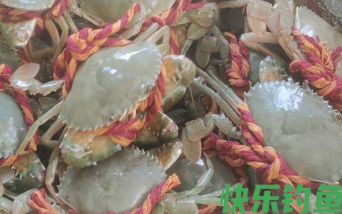 螃蟹六不吃是哪六不吃