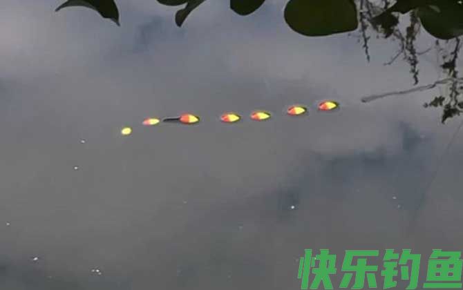 野钓鲫鱼用什么漂型的漂(图1) 野钓鲫鱼用什么漂型的漂(图1)