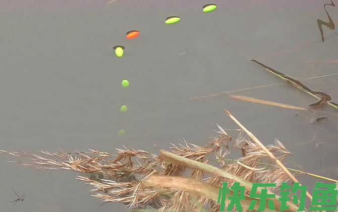 冬季钓鱼用七星漂好还是立漂好(图2)