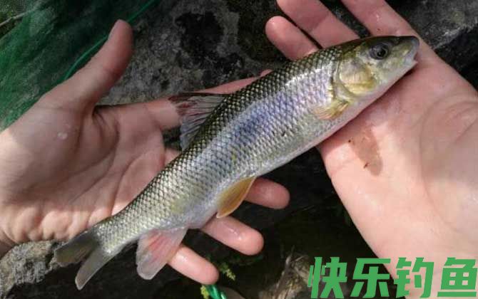牢底坐穿鱼