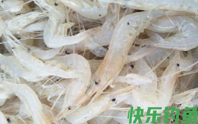 白虾